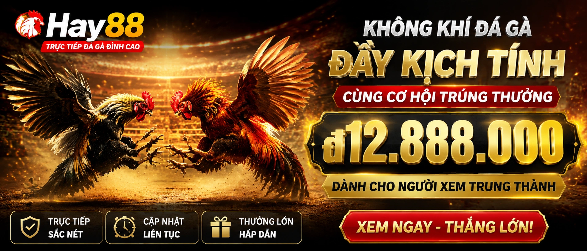 Khu Đá Gà trực tiếp trên hay88.com.bz