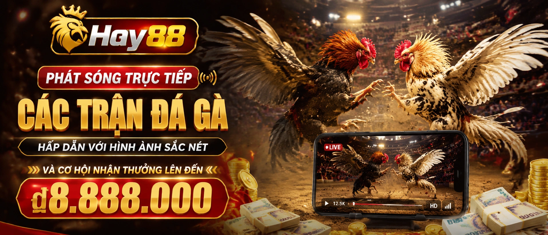 Khu Đá Gà Campuchia trên hay88.com.bz